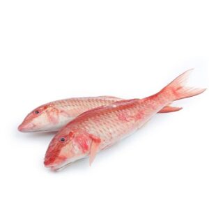 Wholesale sultan fish
