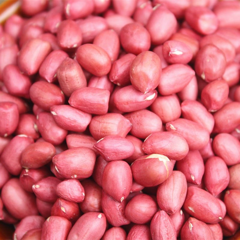 Top Quality Raw Java Peanut