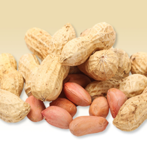 Peanuts