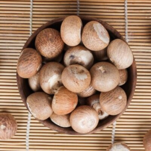 Top Grade Wholesale Betel Nuts for Sale